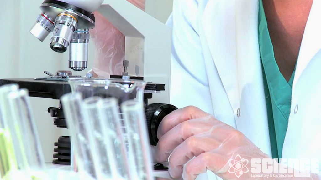 Ağır Metaller Testi