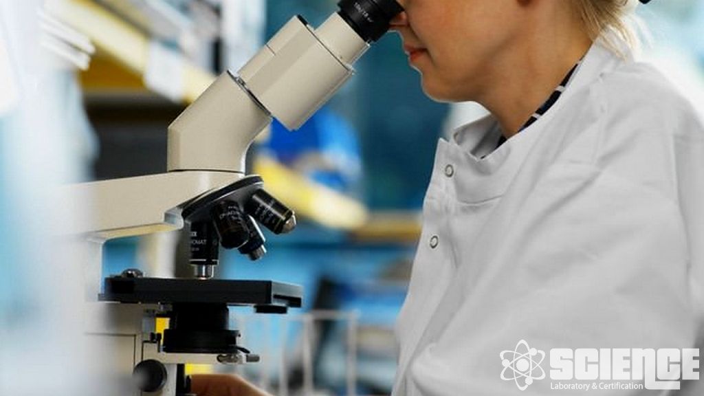 Ağır Metl Testleri - Arsenik, Kadmiyum, Kurşun, Civa