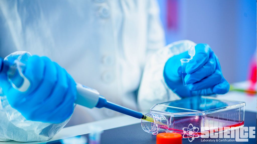 Akış Sitometrisi - Klinik Araştırmalar için Özelleştirilmiş Biyobelirteç Analizi