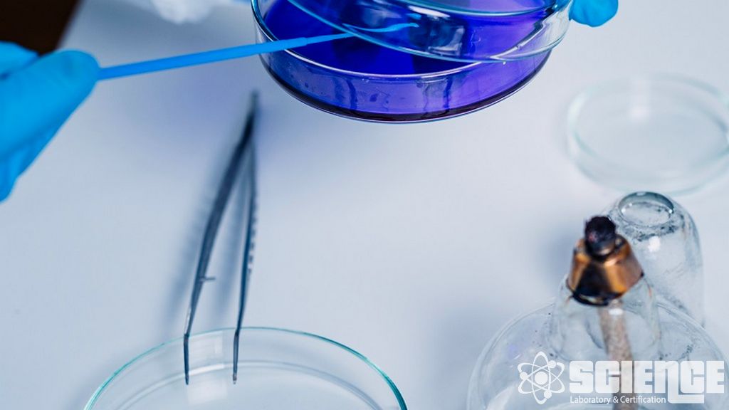 Packaging Shelf Life Tests