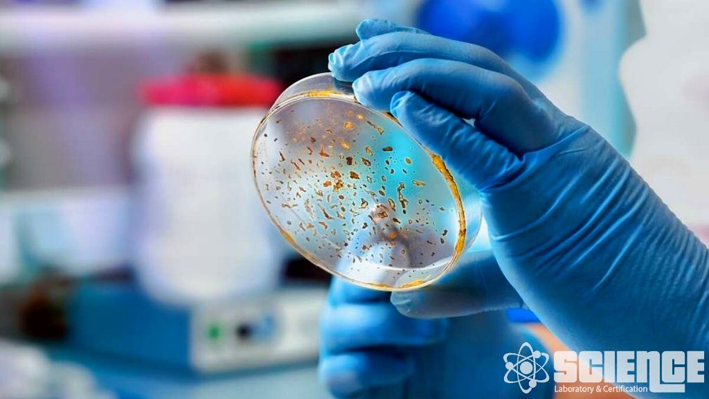 Ambalaj Taşıma Dağıtım Testi