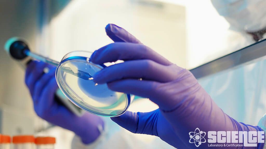 Ambalaj Testi - Sevkiyat Dağıtım Testleri