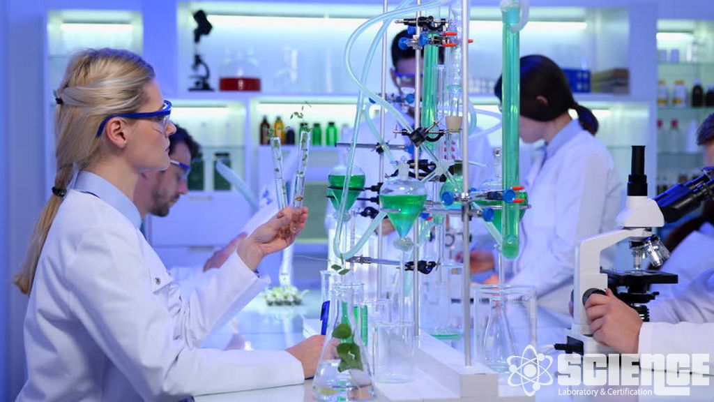 Analitik Karakterizasyon