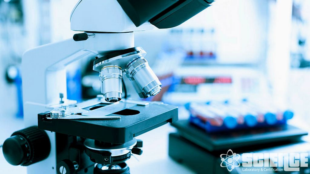 Antibiyotik Gücü Testi