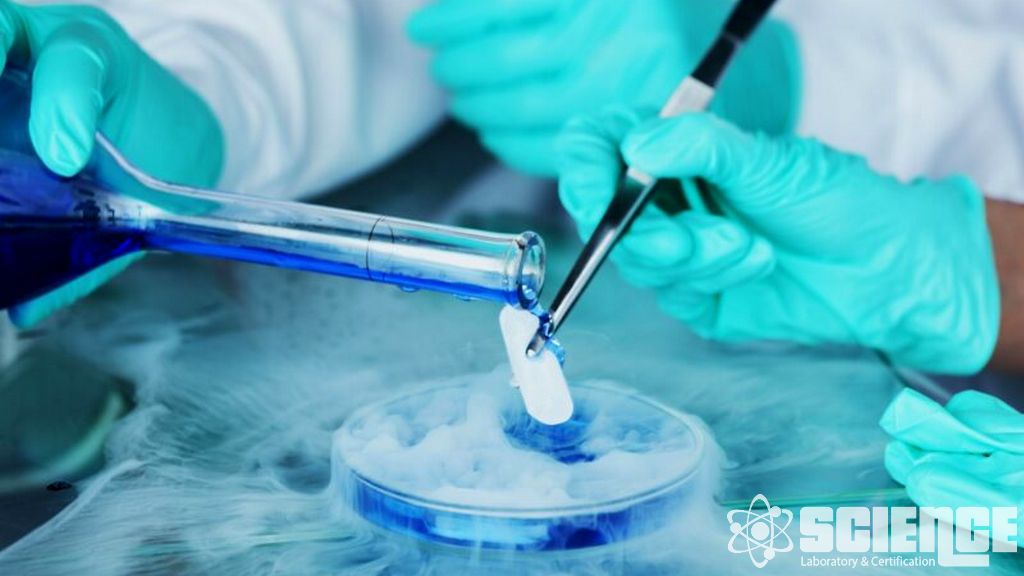 Antikor İlaç Konjugatları Test Hizmetleri