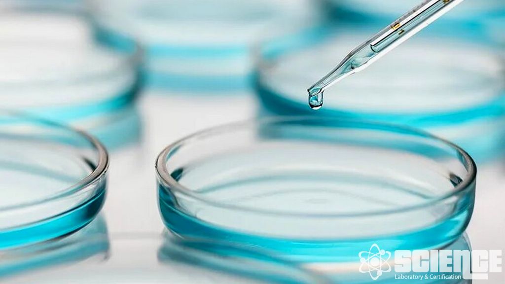 Antimikrobiyal Koruyucu Etkililik Testi