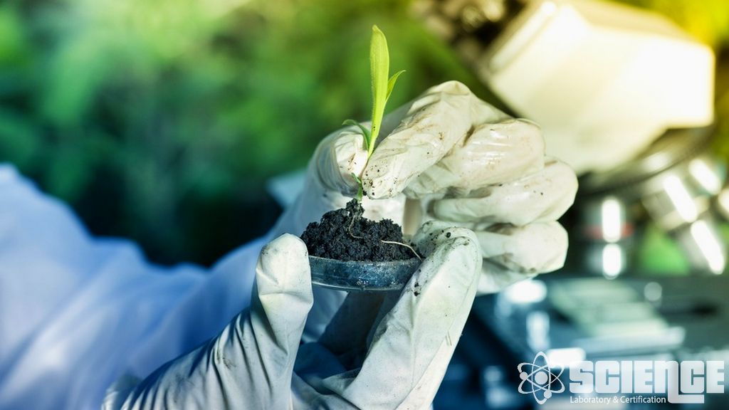 Asit Kaya Drenaj Testi