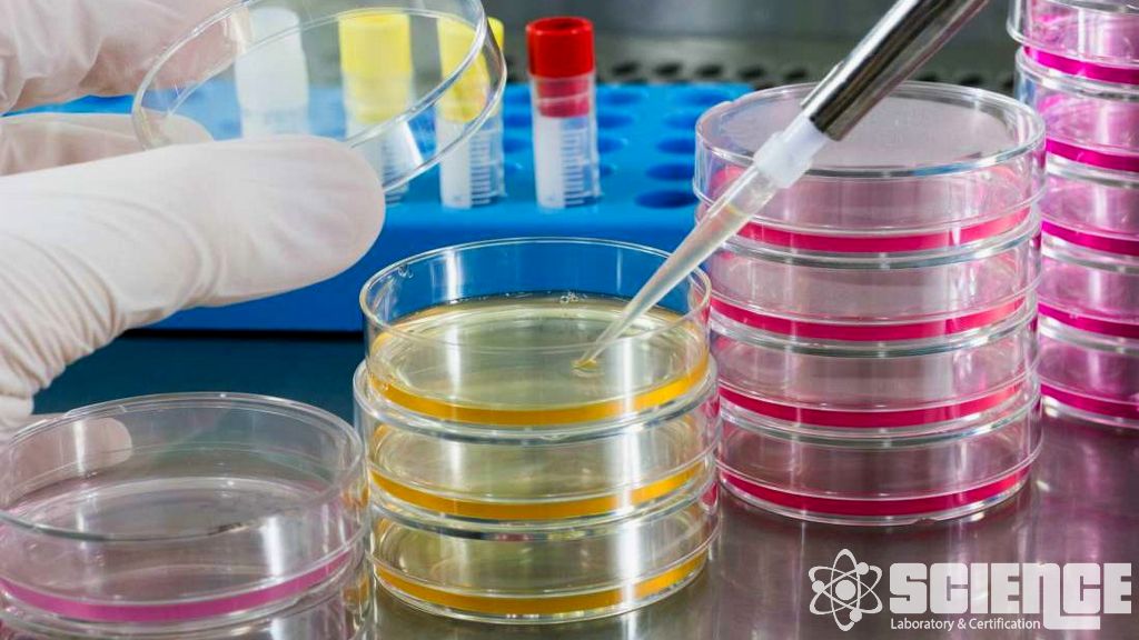 Bakteriyel ve Viral Filtrasyon Verimliliği (BFE/VFE)