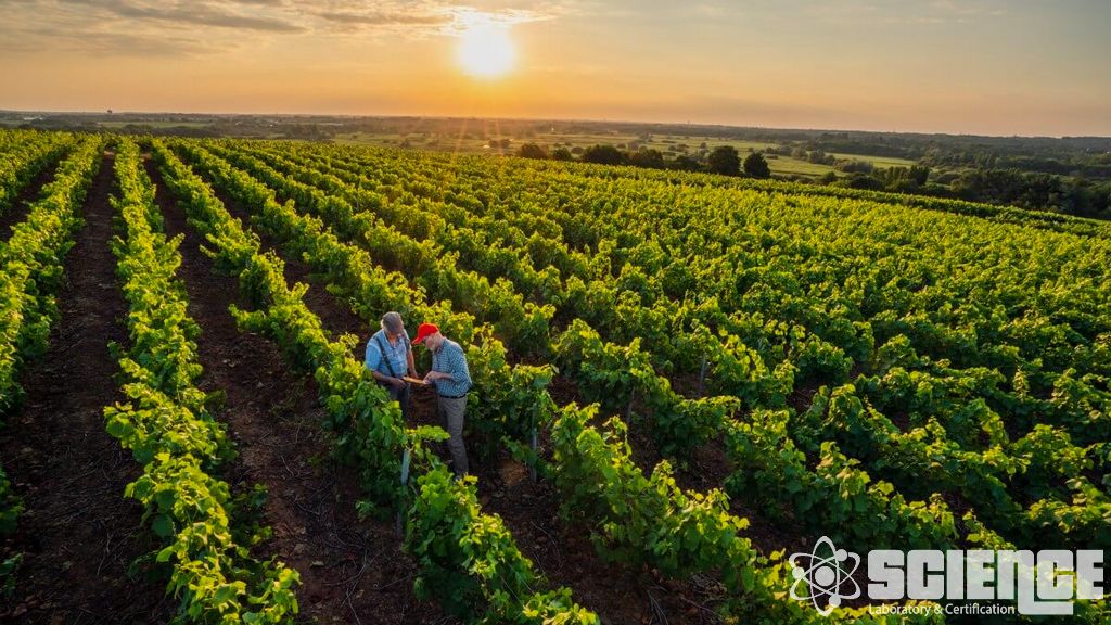 Bal, Arı ve Yaban Arısı Alan Testleri