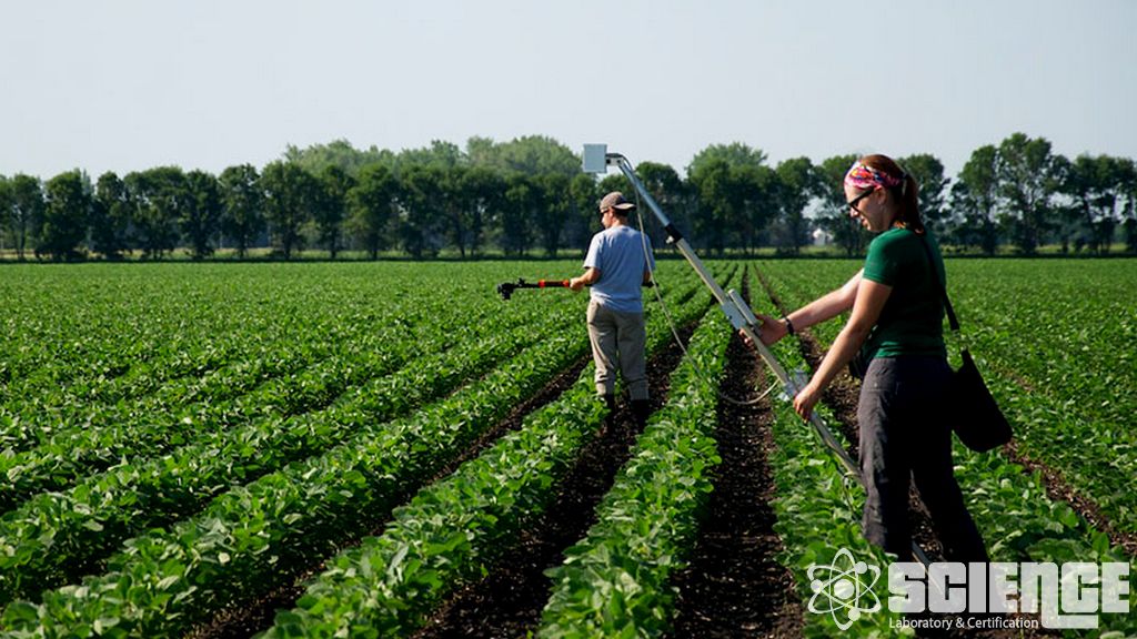 Bal Arısı Saha Testleri