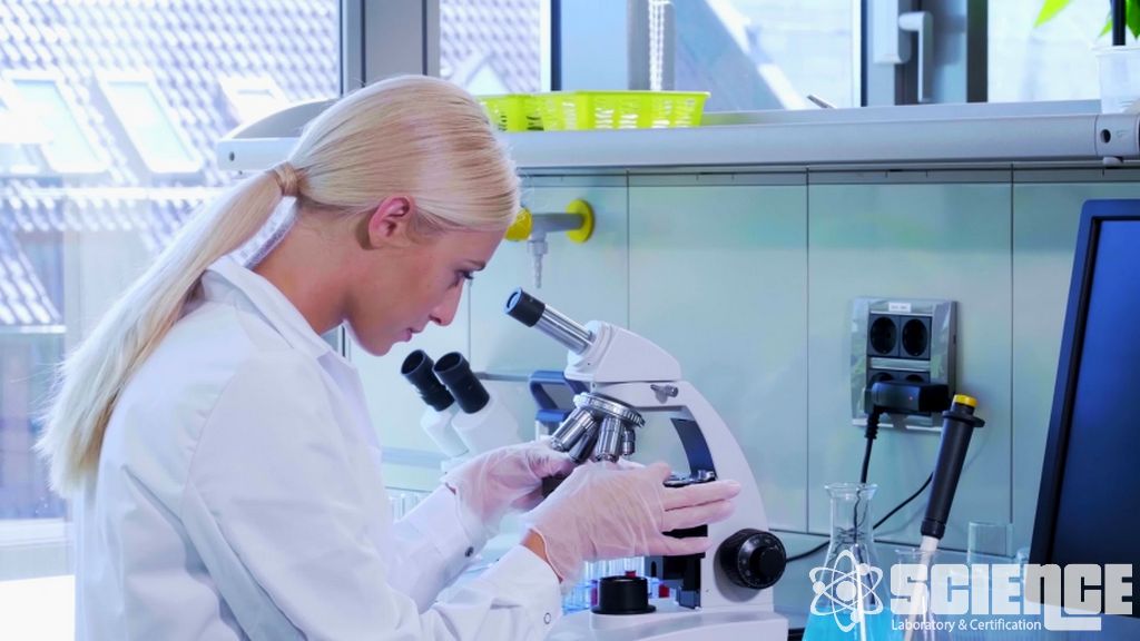 Besin Karşıtı Test