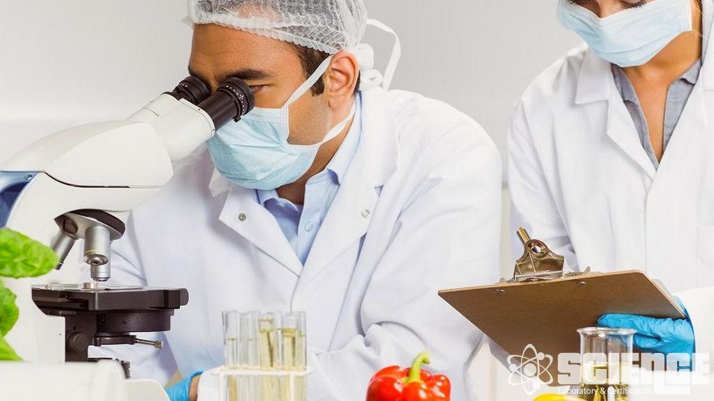 Besin Takviyeleri için Analizler