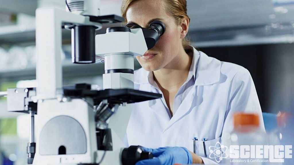 Beslenme Analizi Test Hizmetleri