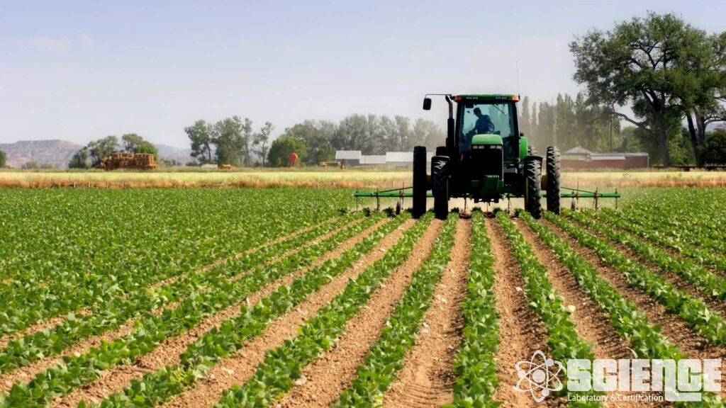 Beslenme Eşdeğer Çalışmaları