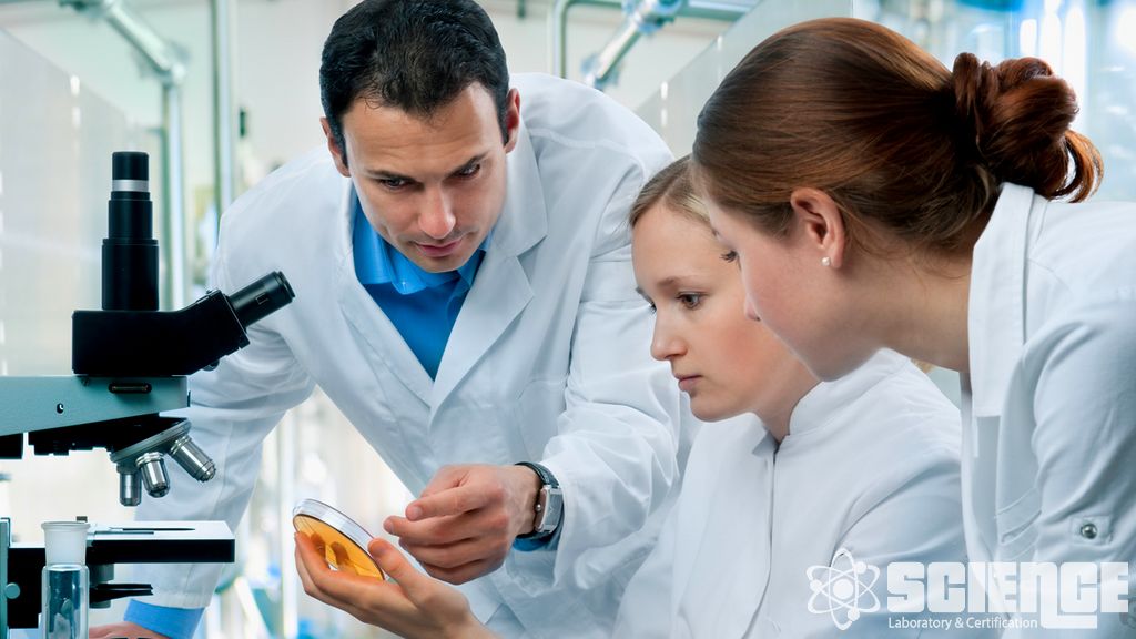 Bileşim, Kimlik ve Saflık Testi