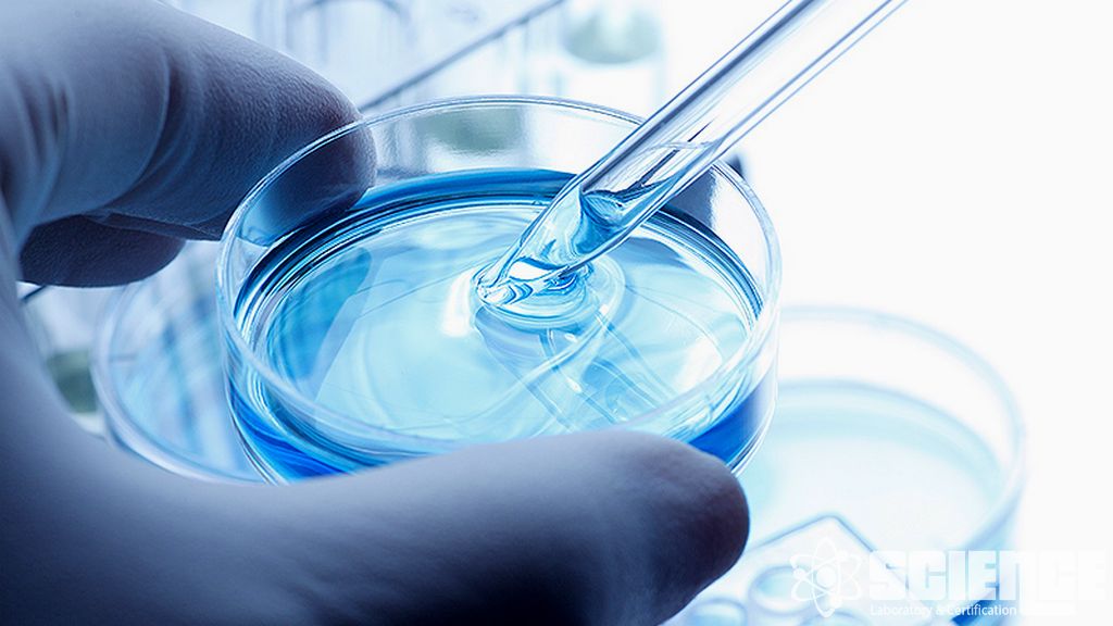 Biobetter and Biosimilar Analysis