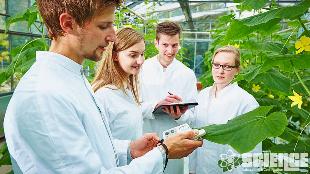 Bitki Zararlıları Analizi