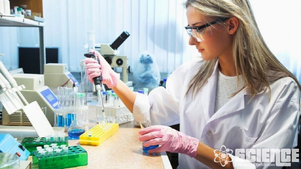 Biyoanaliz ve Klinik Biyobelirteç Destek Hizmetleri