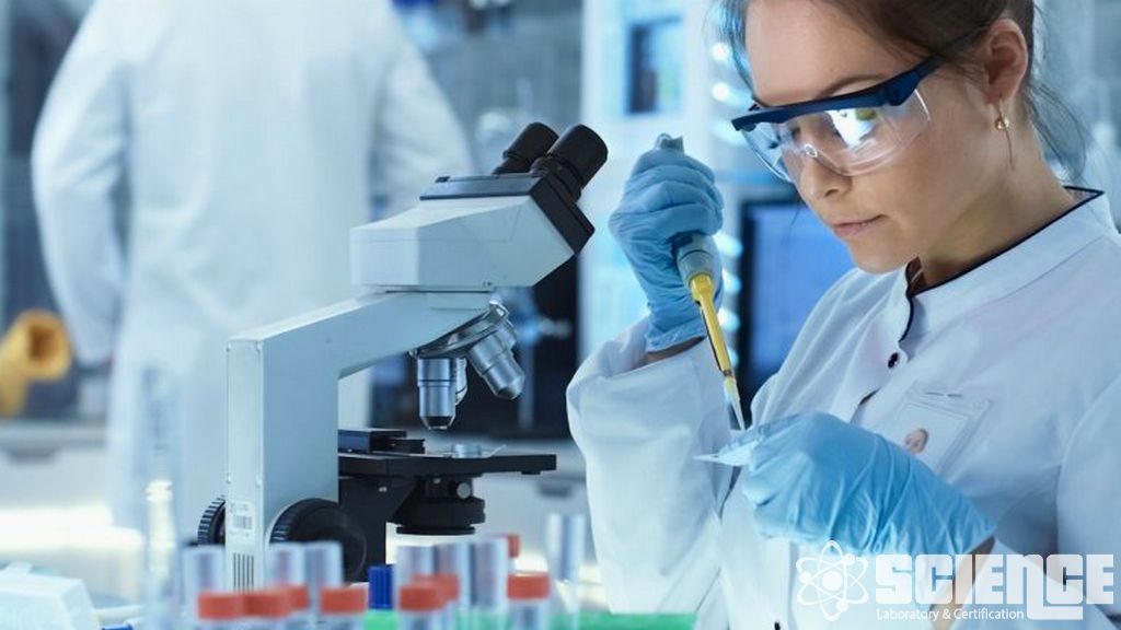 Biyoassay ve cGMP Potens Testi