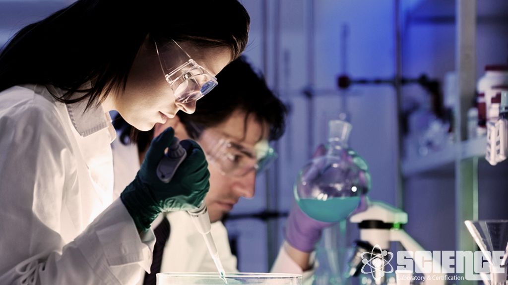 Biyobozunma ve Çevresel Kader Çalışmaları