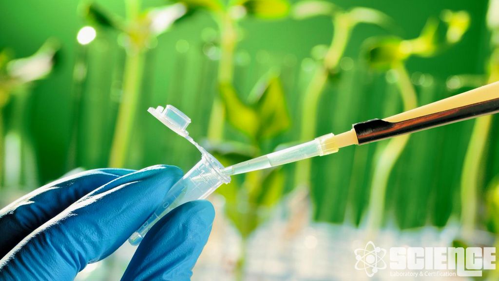 Biyogüvenlik Çalışmaları