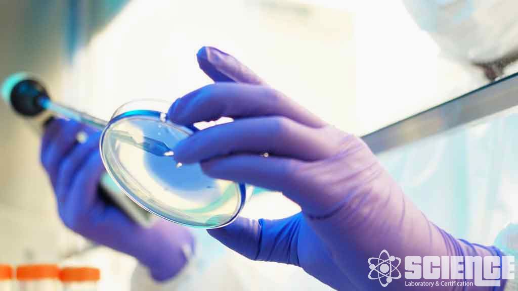 Biyolojik Gösterge – Nüfus Doğrulaması