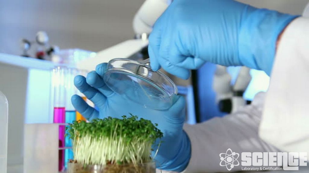 Çeşitli Ürün Testleri