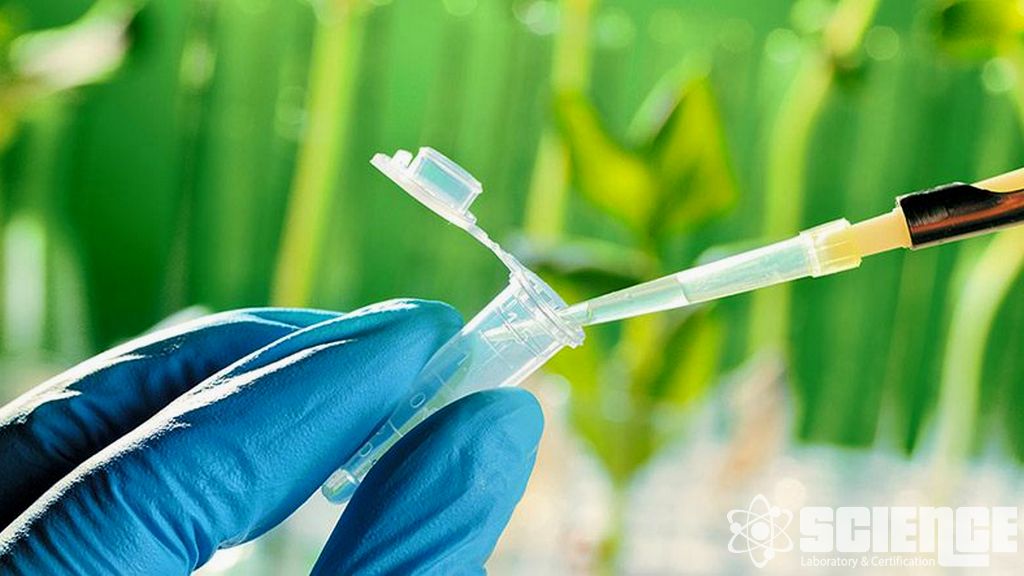 Çevresel Kader Çalışmaları