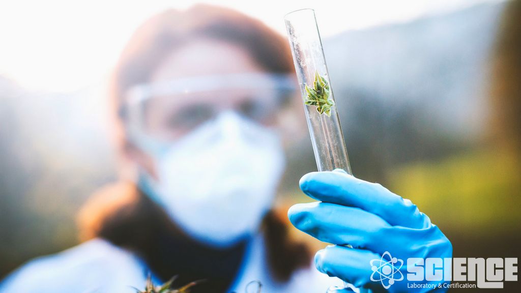 Çevresel Kader ve Metabolizma OECD Standartları