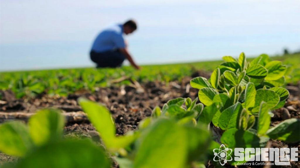 Çevresel Risk Değerlendirmesi Hayvan Tıbbı Testleri