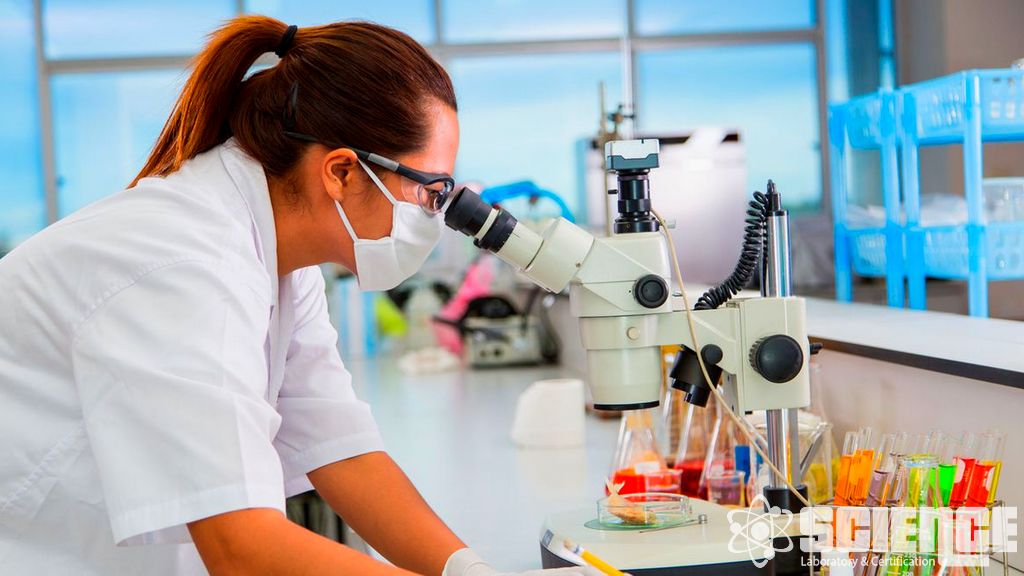 Çıkarılabilir ve Sızdırılabilir Test Protokollerini Kolaylaştırma