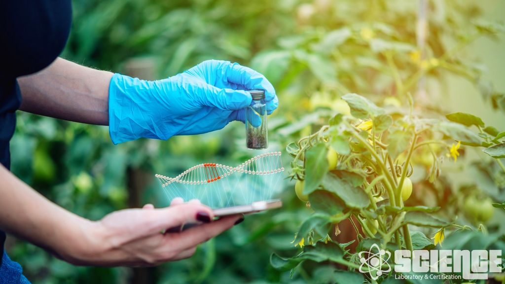 Çit Çizgisi İzleme