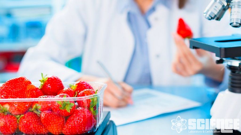 Deniz Ürünleri ve Balık Ürünleri Analizi