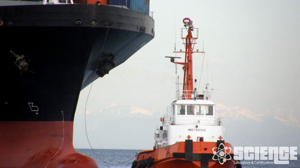 Denizcilik Hizmetleri