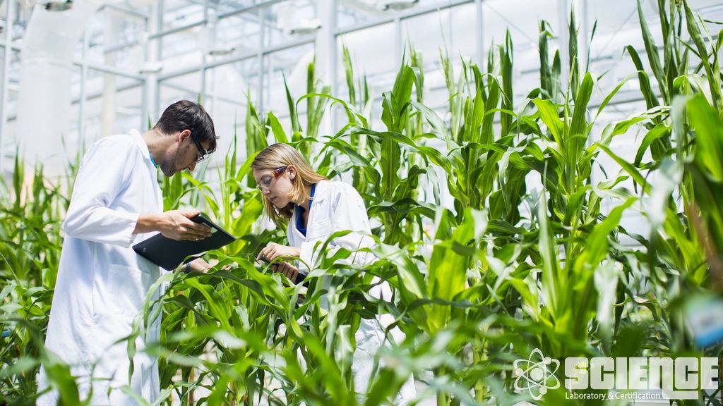 Depolama Kararlılığı Çalışmaları Ürün Etkinliği Testleri