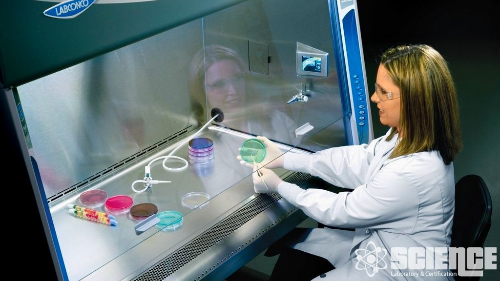 Dezenfeksiyon Etkililik Çalışmaları