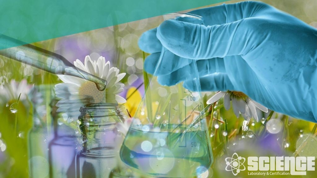 Dioksin ve Furan Testleri