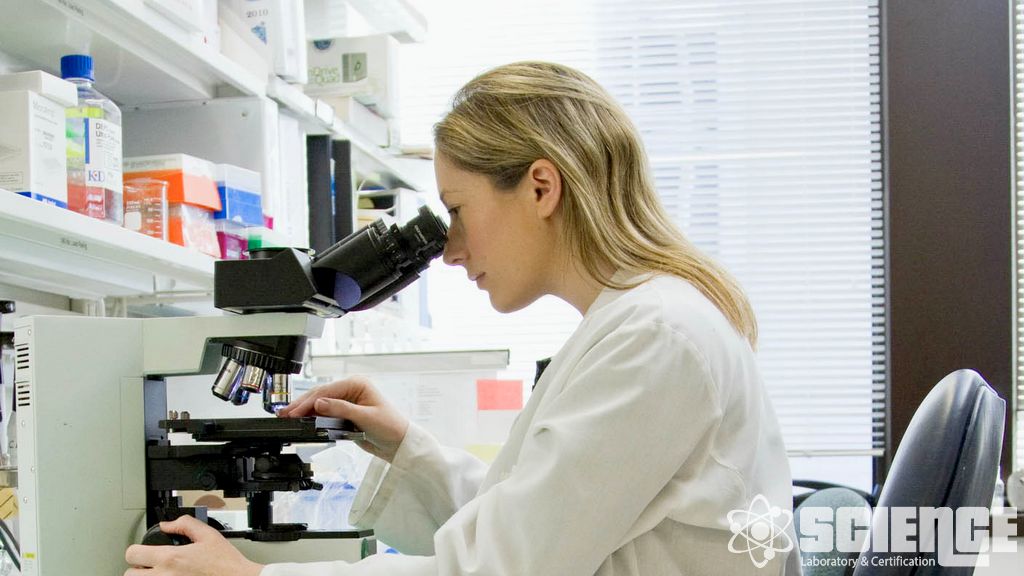 Dioksinler ve PCB Testi