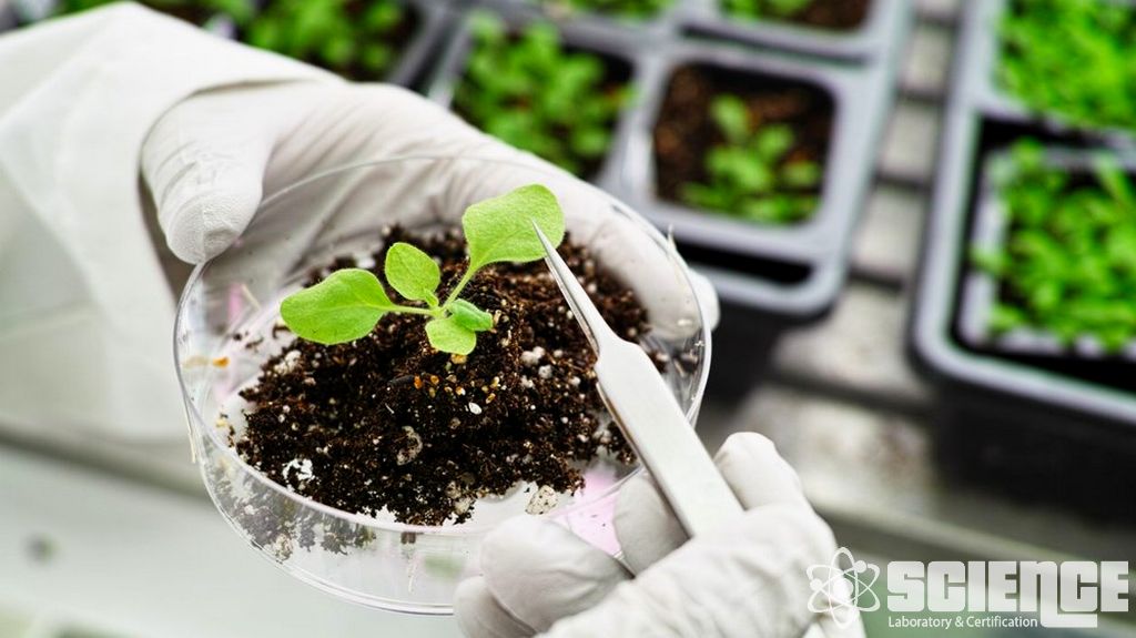 Direnç İzleme Testi