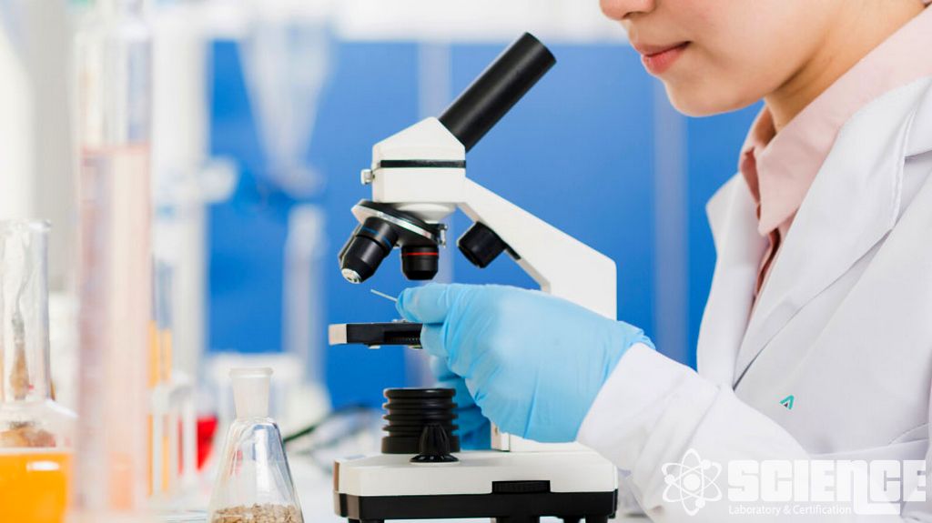 Diyet Takviyesi Testi