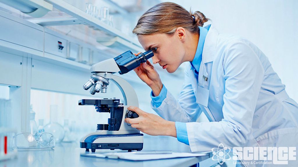 Domuz ve Domuz Ürünleri Test Hizmetleri