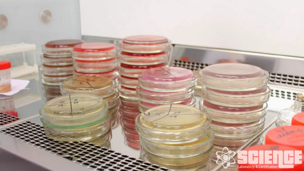 Donma-Çözülme Stabilite Testi