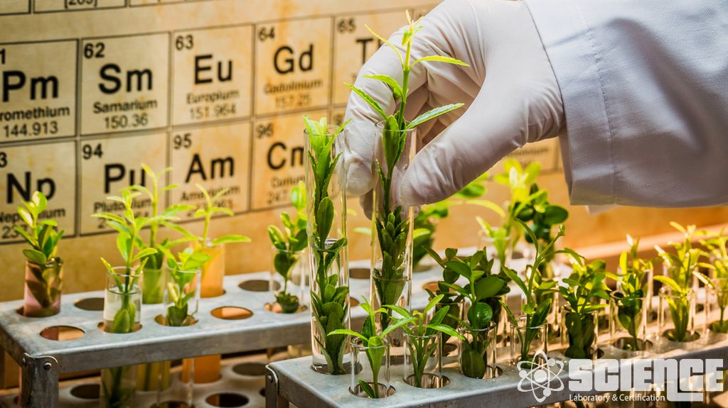 Ekilebilir Tarım Testi