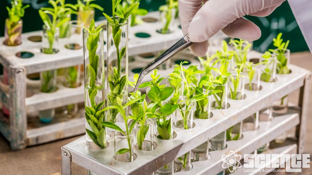 Endokrin Bozucu Hizmetler