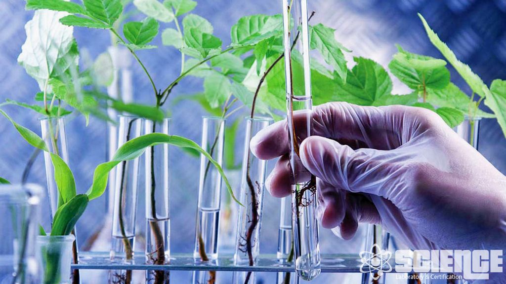 EPA Yöntemi 7E Testleri