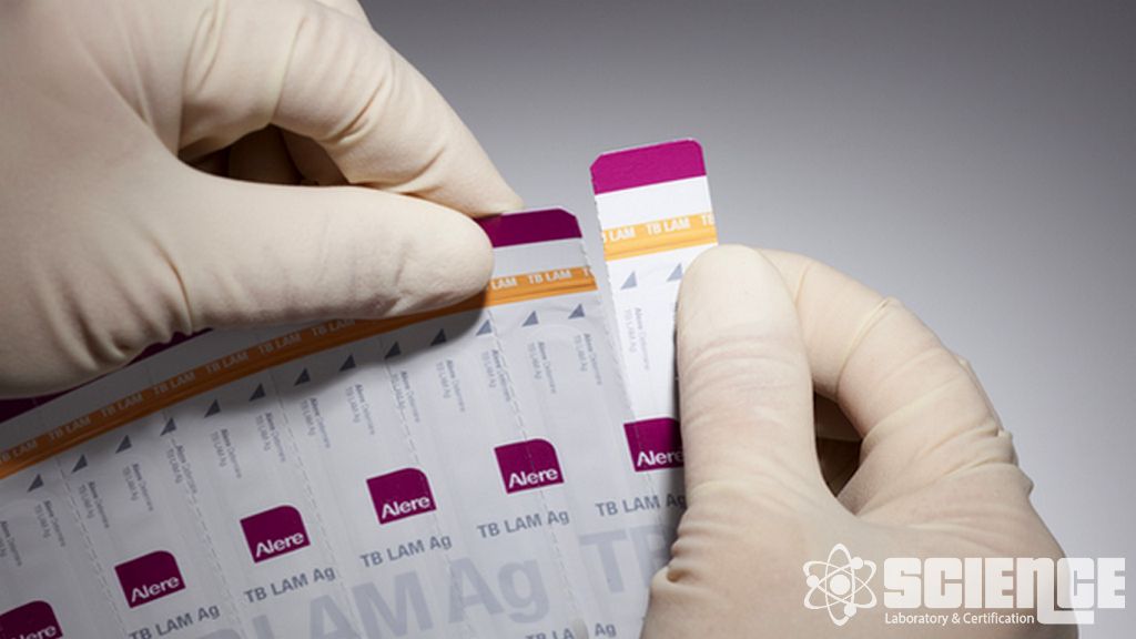 Etiketleme Doğrulama Testi