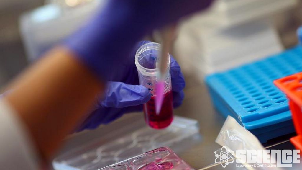 Farmakoloji Çalışmaları