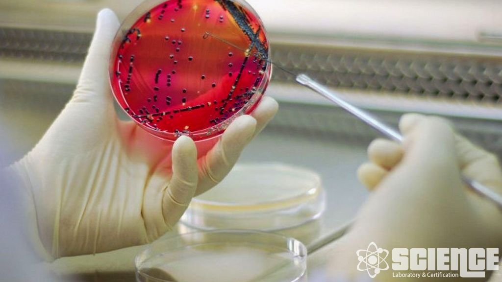 Farmasötik Amaçlı Su Testi