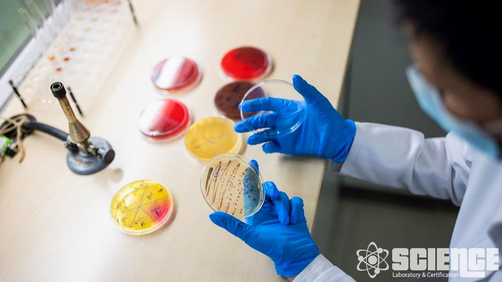 Farmasötik Salım Testi