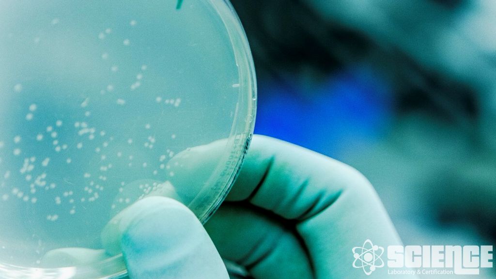 Farmasötik Salınım Testi